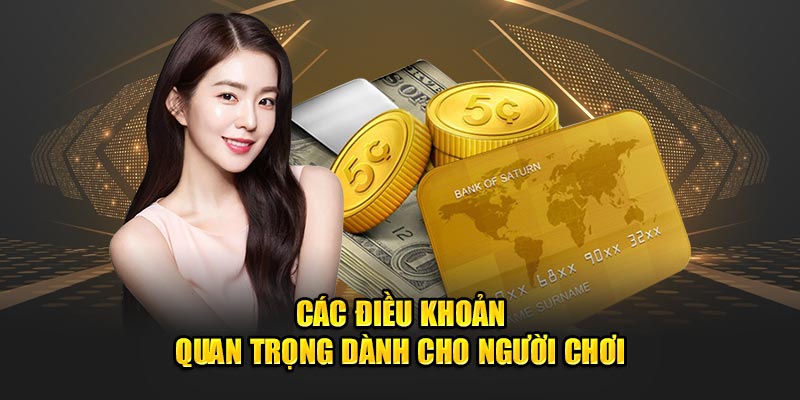 Các điều khoản quan trọng dành cho người chơi